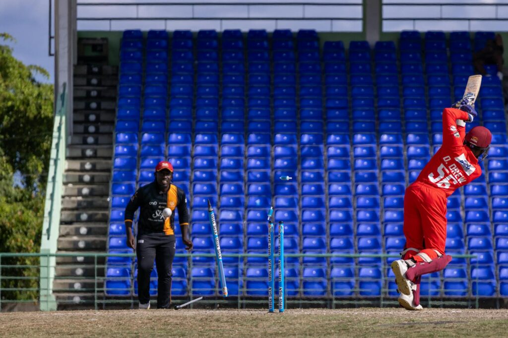 Cricket - photo by Jermaine Lewis on Pexels