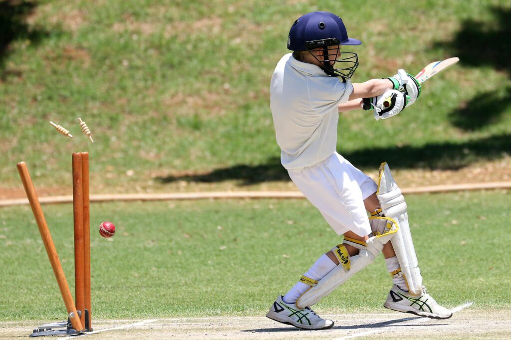 Cricket - photo by Patrick Case on Pexels