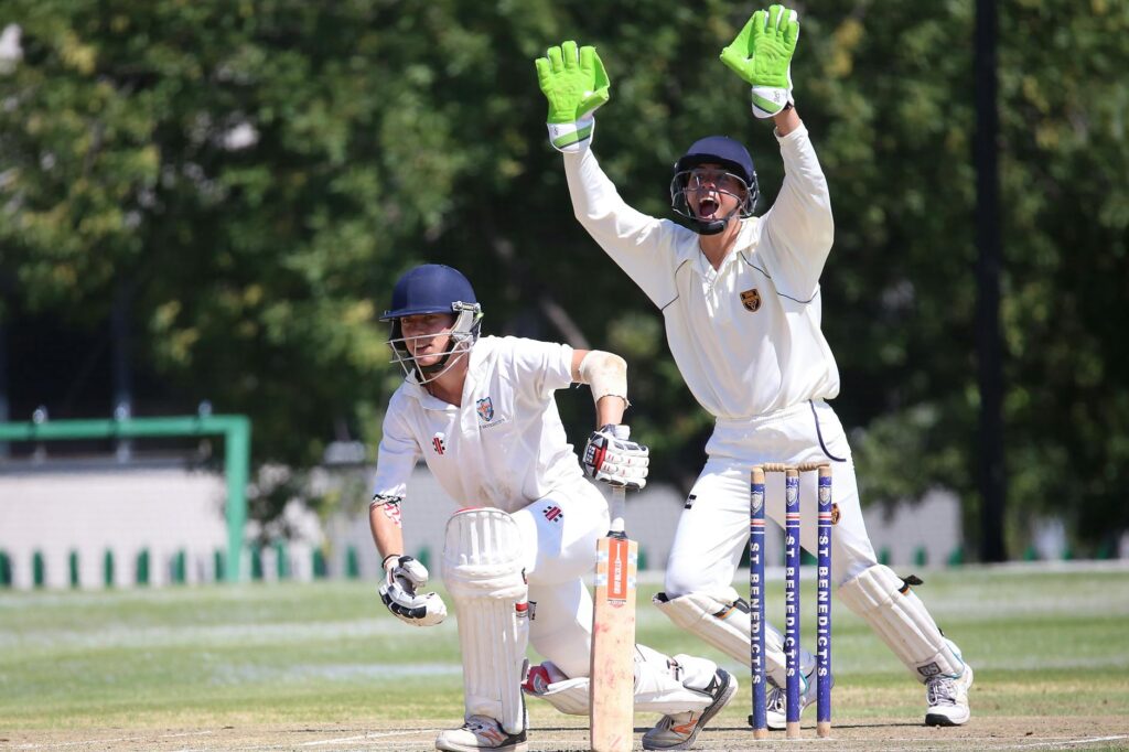 Cricket - photo by Patrick Case on Pexels