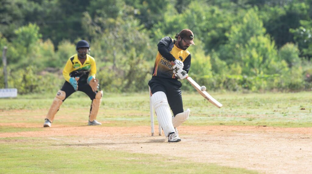Cricket - photo by Anil Sharma on Pexels
