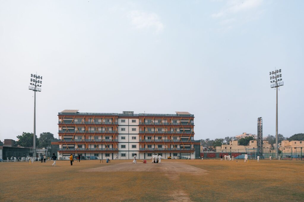 Cricket - photo by Arto Suraj on Pexels