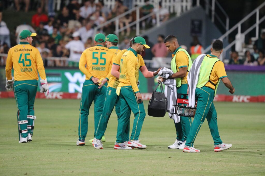 Cricket - photo by Arsal Point on Pexels