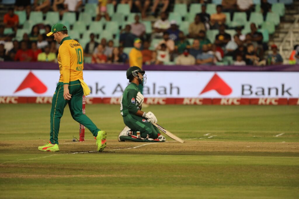 Cricket - photo by Arsal Point on Pexels