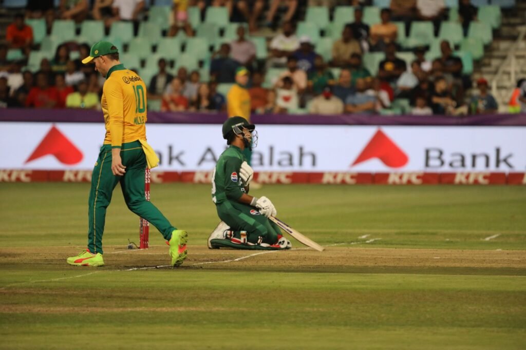 Cricket - photo by Arsal Point on Pexels