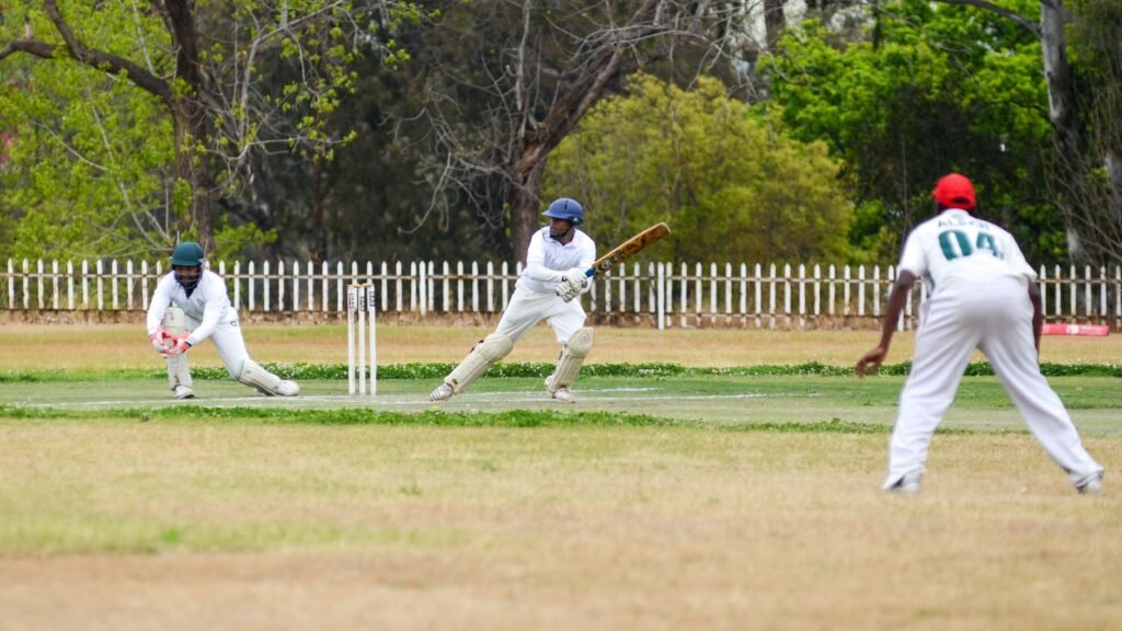 Cricket - photo by Steward Masweneng on Pexels