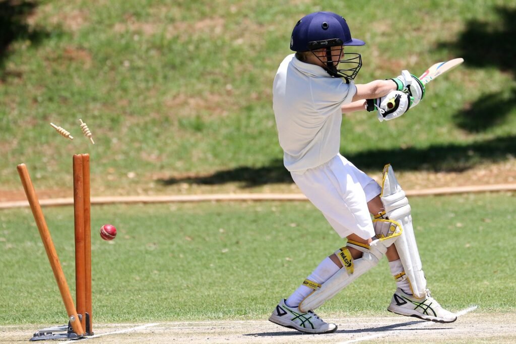 Cricket - photo by Patrick Case on Pexels