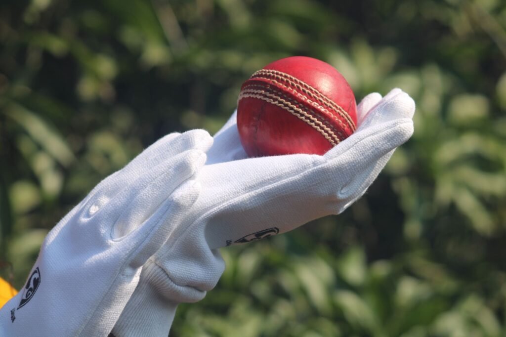 Cricket - photo by Manoj Poosam on Pexels