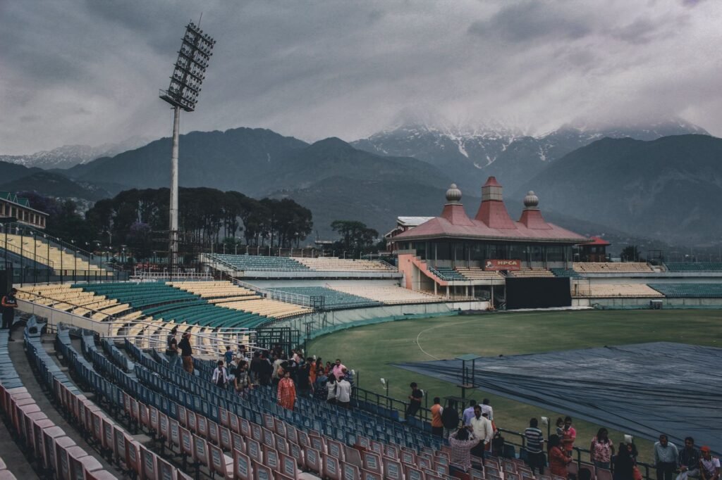 Cricket - photo by Aalekh Deval on Pexels