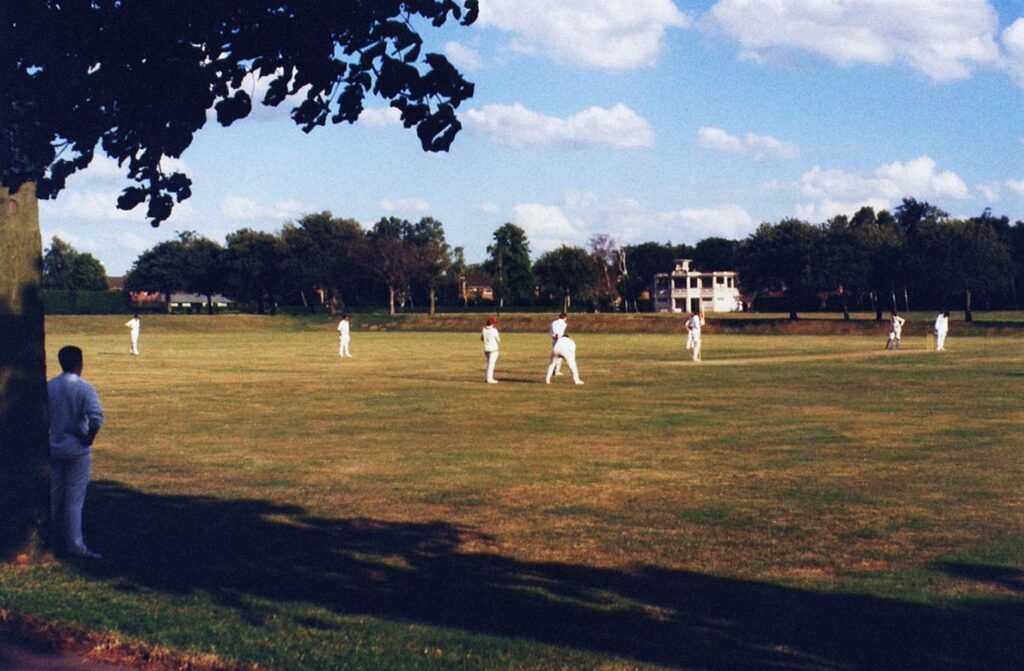 Cricket - photo by Suzy Hazelwood on Pexels