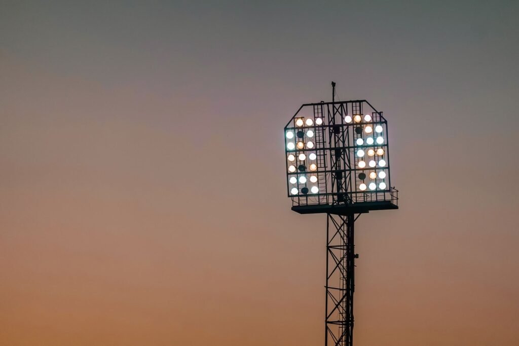 Cricket - photo by Magda Ehlers on Pexels